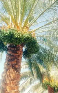 خوشه بندی(مغ بند)
