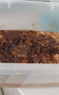 عسل طبیعی
