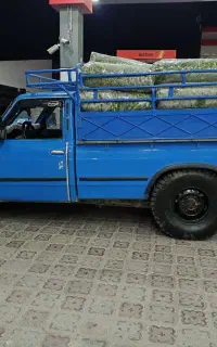 نیسان دوگانه