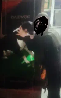 سگ گمشده در محدوده خضر