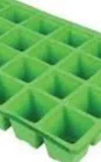 سینی کشت نشا توت فرنگی