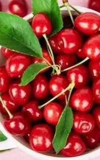 لینکدونی البالو برای تبلیغات گروه کانال شما عزیزان