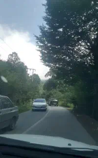 گشت و گذار در طبیعت