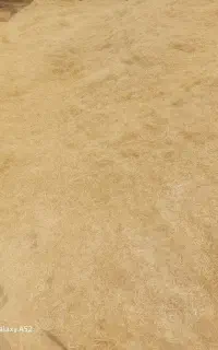 فروش کاه
