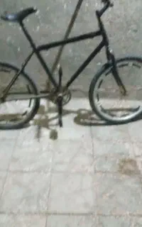 دوچرخه بیست چهار و تنه شانزده