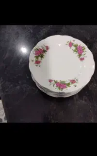 ۱۲عدد میوه خوری گلسرخی۶۰۰