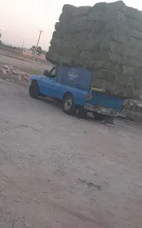 کاه یونجه تفاله چغندر