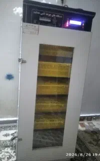 دستگاه جوجه کشی