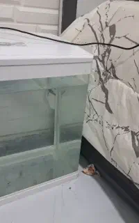 اکواریوم همراه با نور