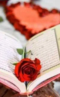 دعا نویس سرکتاب