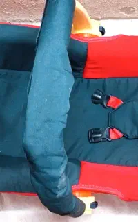 کریر مارک چیکو