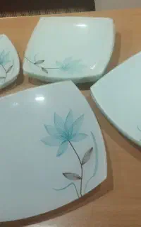 ظروف پذیرایی