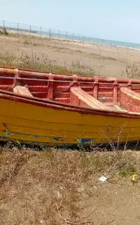 قایق سی سرا برای ۴۸ و ۸۵