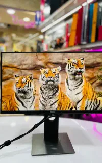 مانیتور دل ۲۲ و ۲۳ اینچ فریملس HDMI عروسک