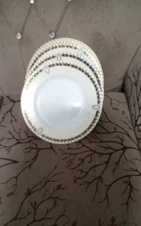 ظروف پذیرایی
