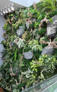 طراحی و اجرای تراریوم ،ماوس وال