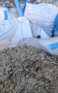 نون خشک دامی