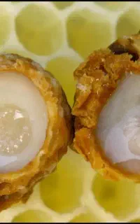 ژله رویال عسل طبیعی با تضمین کیفیت