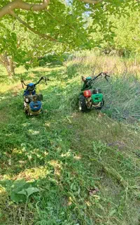 خدمات علف زنی باغ باغچه