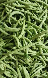 استانبولی