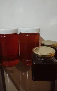 عسل ارگانیک و طبیعی