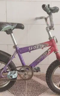 دوچرخه
