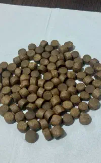 اکسترود کپور