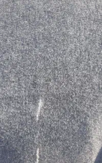 موکت
