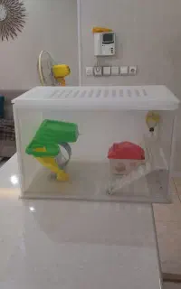قفس و لانه همستر