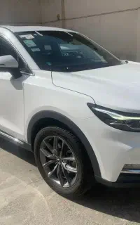 دیگنتی پرایم ۴۰۴ داخل مشکی ۲۶ تا کار