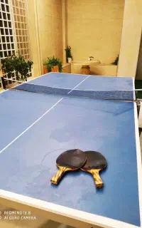 میز پینگ پنگ