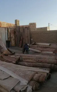 قالیشویی آریا ---- سرویس رایگان