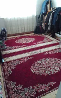 دوعدد فرش ۶متری