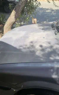 سمند se مدل ۹۱