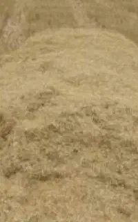 کاه