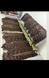 خریدار موهای طبیعی و رنگی