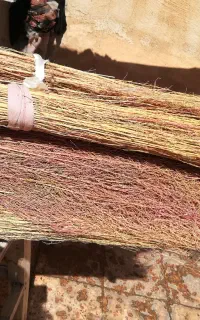 جارو شهرداری