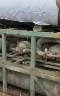 فروش وخرید موتور خانه