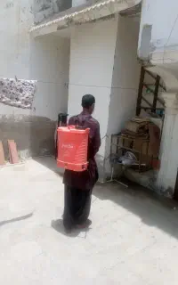 طعمه گذاری