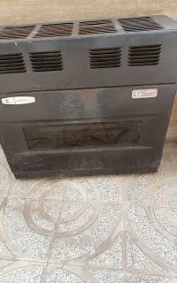 بخاری سالم