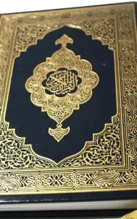 سید