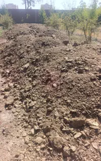 کود گوسفند