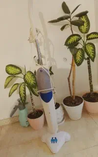 بخارشو