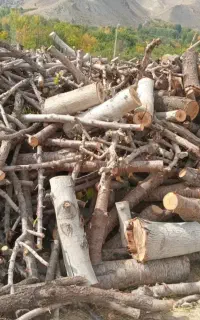 خرید چوب درکل اصفهان