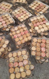 تولیدوپخش مستقیم شیرینی عسلی