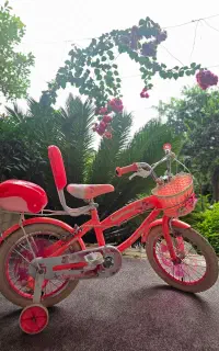 دوچرخه دخترانه سایز ۱۶