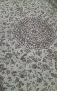 روفرشی ستاره کویریزد