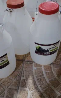 دبه خیارشور و سرکه یک دونه هم گلگیر پ ژو