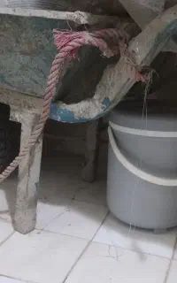 فرغون
