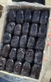 کسب کار
